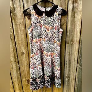 LC Lauren Conrad Floral Short Dress Black Collar A-line Size 4